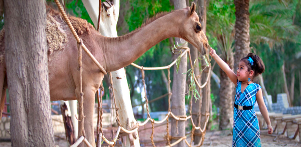 AlAreen Wildlife Park & Reserve