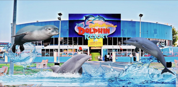 Dolphin Resort Bahrain